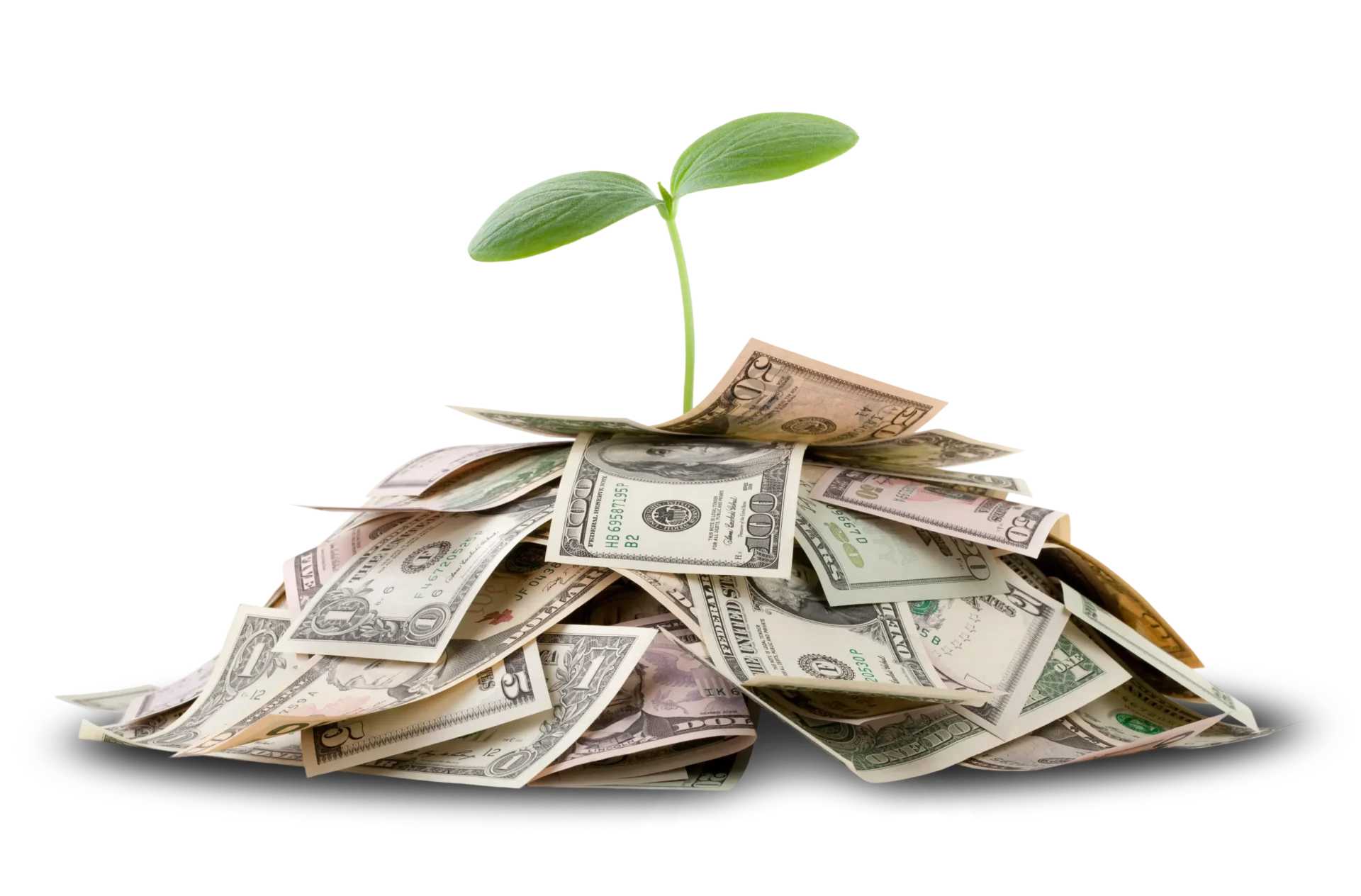 Sprout growing from pile of money